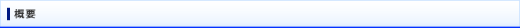 概要