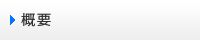 概要